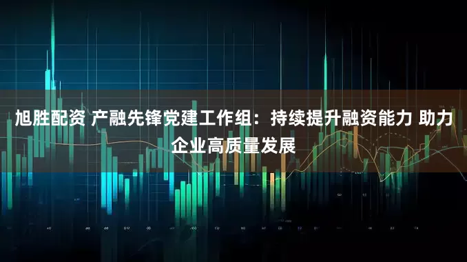 旭胜配资 产融先锋党建工作组：持续提升融资能力 助力企业高质量发展