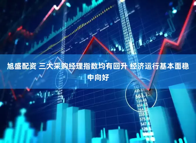 旭盛配资 三大采购经理指数均有回升 经济运行基本面稳中向好