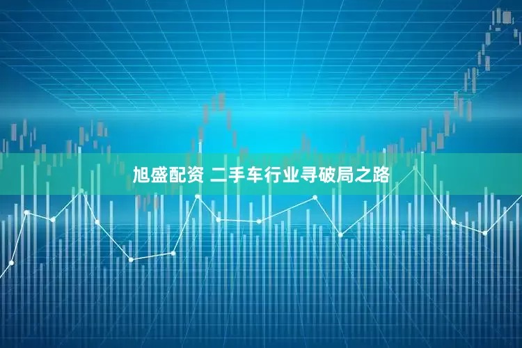 旭盛配资 二手车行业寻破局之路