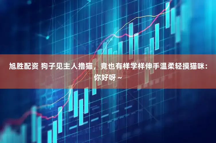 旭胜配资 狗子见主人撸猫，竟也有样学样伸手温柔轻摸猫咪：你好呀～