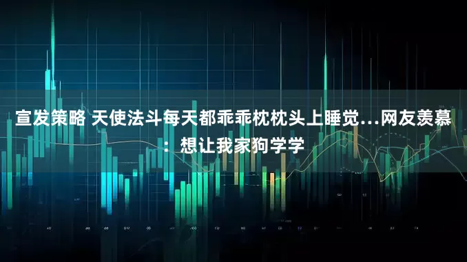 宣发策略 天使法斗每天都乖乖枕枕头上睡觉…网友羡慕：想让我家狗学学