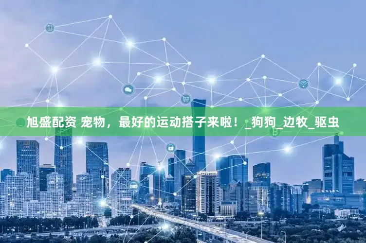 旭盛配资 宠物，最好的运动搭子来啦！_狗狗_边牧_驱虫