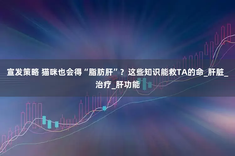 宣发策略 猫咪也会得“脂肪肝”？这些知识能救TA的命_肝脏_治疗_肝功能