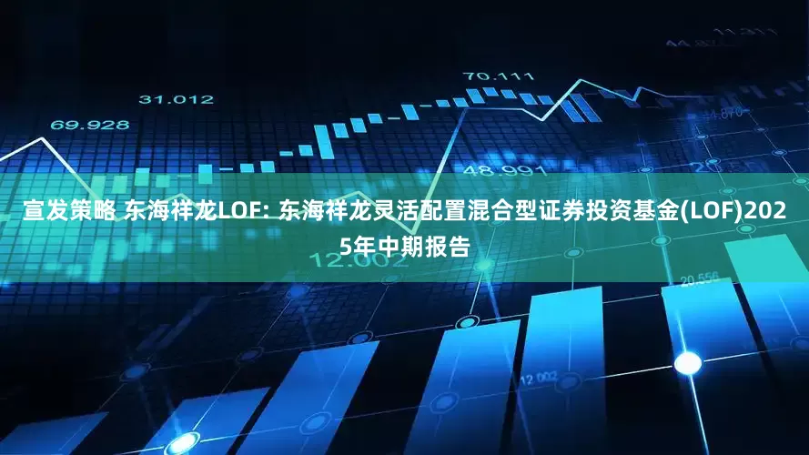 宣发策略 东海祥龙LOF: 东海祥龙灵活配置混合型证券投资基金(LOF)2025年中期报告