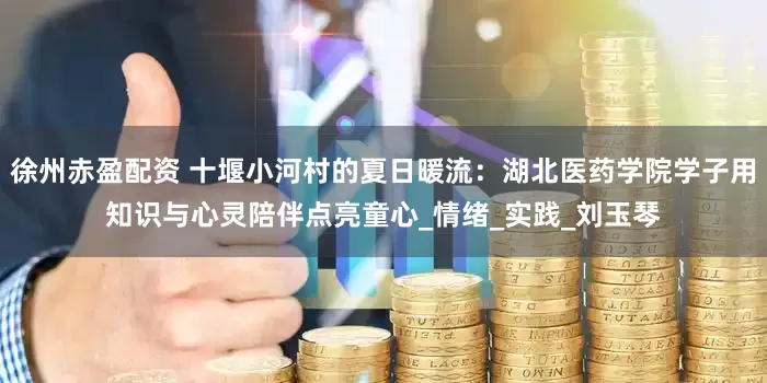 徐州赤盈配资 十堰小河村的夏日暖流：湖北医药学院学子用知识与心灵陪伴点亮童心_情绪_实践_刘玉琴