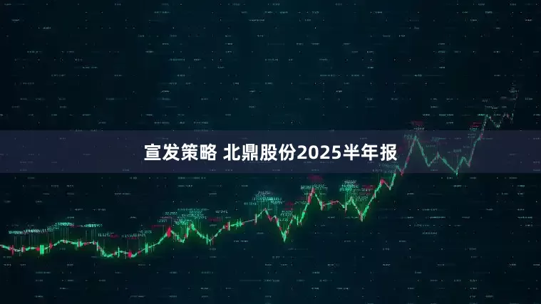宣发策略 北鼎股份2025半年报