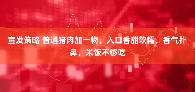 宣发策略 普通猪肉加一物,入口香甜软糯,香气扑鼻,米饭不够吃
