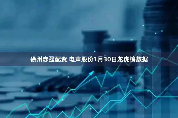 徐州赤盈配资 电声股份1月30日龙虎榜数据